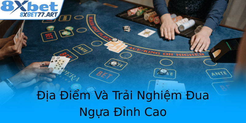 Địa Điểm Và Trải Nghiệm Đua Ngựa Đỉnh Cao