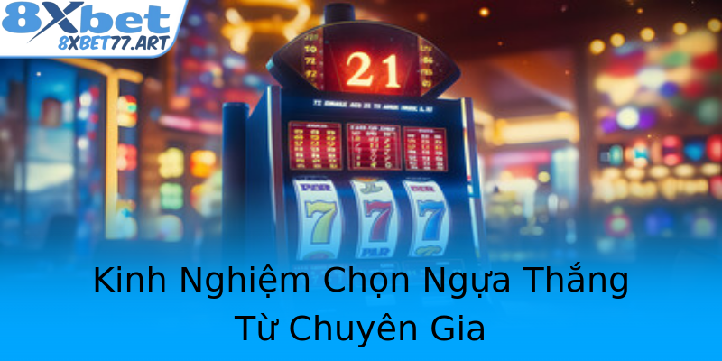 Kinh Nghiệm Chọn Ngựa Thắng Từ Chuyên Gia Kinh Nghiệm Chọn Ngựa Thắng Từ Chuyên Gia